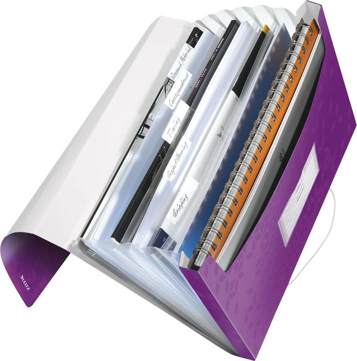 Actual product image Leitz WOW - Project folders (A4, 1 x)