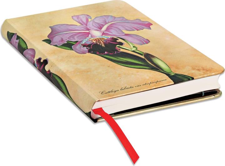 Actual product image Paperblanks Notebook Brazilian Orchid (95 x 140 mm, Lined, Hardcover)