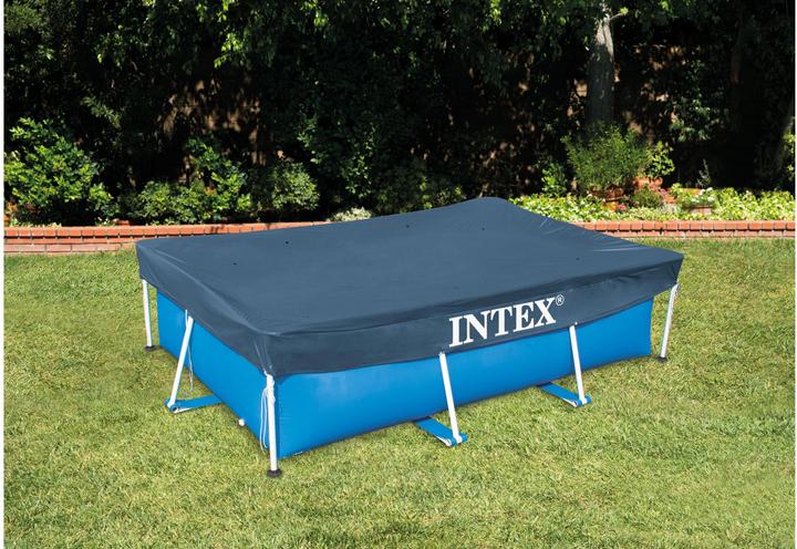 Actual product image Intex frame pool