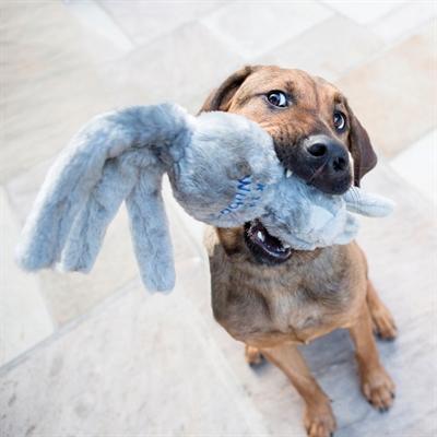 Produktbild KONG Hundespielzeug Wubba Friends assortiert (Wurfspielzeug Hund)