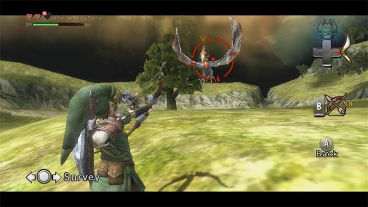 Actual product image Nintendo The Legend of Zelda: Twilight Princess (Wii, Multilingual)