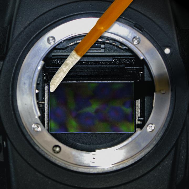 Actual product image Visible Dust DHAP V-Swab