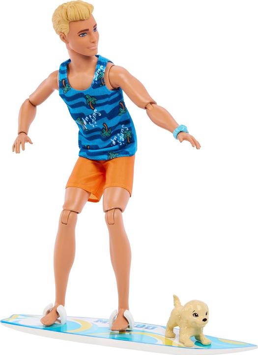 Actual product image Barbie Ken Surfer Doll & Accy