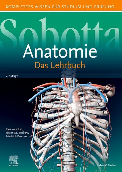 Produktbild Sobotta Lehrbuch Anatomie (Deutsch, Tobias M. Boeckers, Jens Waschke, Friedrich Paulsen, 2019)