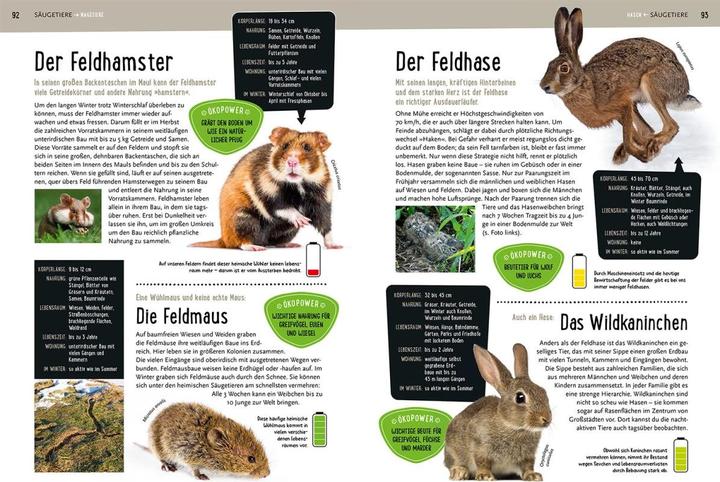 Image du produit Kosmos Mein Kosmos-Buch Natur (Allemand, Bärbel Oftring, 2023)