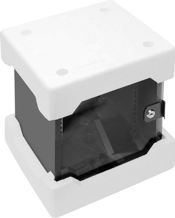 Immagine prodotto Digitus Custodia per montaggio a parete 254 mm (6 HE, Portapacchi da 10 pollici)