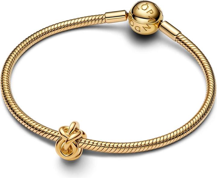 Produktbild Pandora Infinity-Knoten-Charm (Metall)
