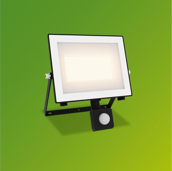 Immagine prodotto Philips Outdoor Flutlicht Lois (4500 lm, IP65)