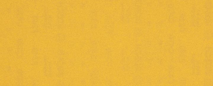 Produktbild Bosch Professional Zubehör EXPERT C470 Schleifpapier ohne Löcher für Schwingschleifer, 93 x 230 mm, G 240, 10-tlg. (240)