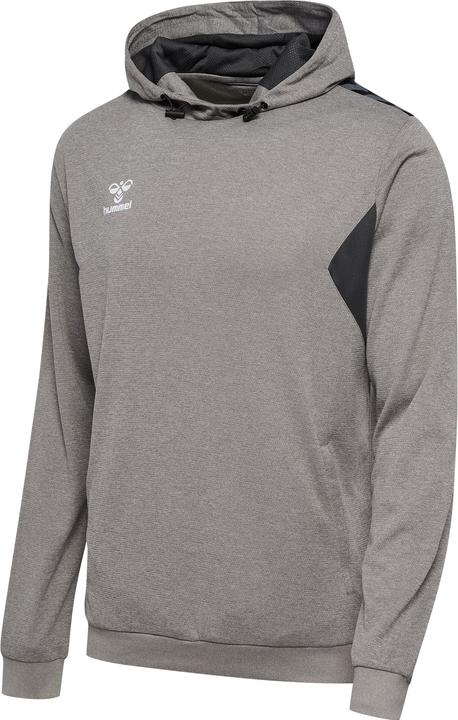 hummel Hmlauthentic Pl Hoodie