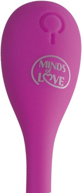 Actual product image Minds of Love Groove Duo