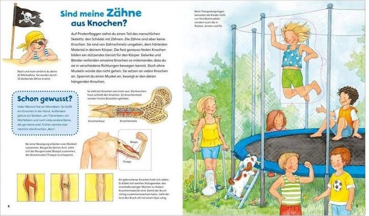 Actual product image Tessloff Mein Körper (German, Sandra Noa, Silke Voigt, 2016)