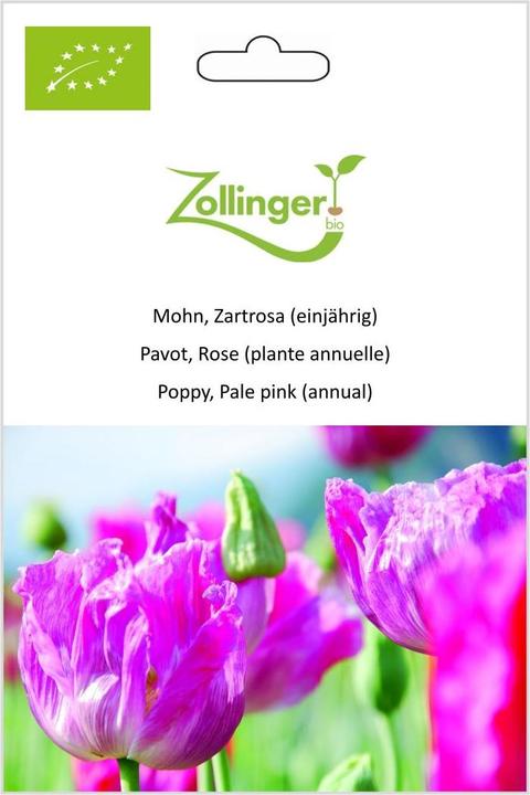 Produktbild Zollinger Bio Mohn, Zartrosa (einjährig) (Keimlinge)