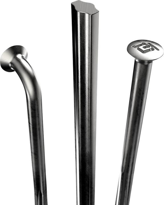 Immagine prodotto DT Swiss Raggi Complite 2.0/1.75/2.0x1.3 nero