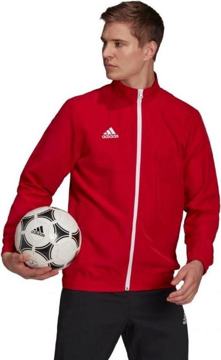 Actual product image adidas Entrada 22 presentation jacket men (XXL)