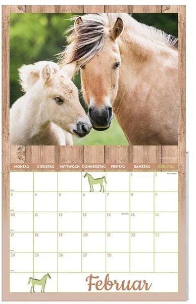 Immagine prodotto Calendario per cavalli confezione 2025, 9 pezzi (Tedesco)