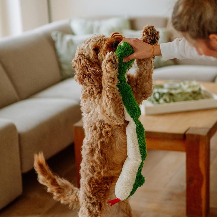 Actual product image Nobby Plush snake (Plush toy dog)