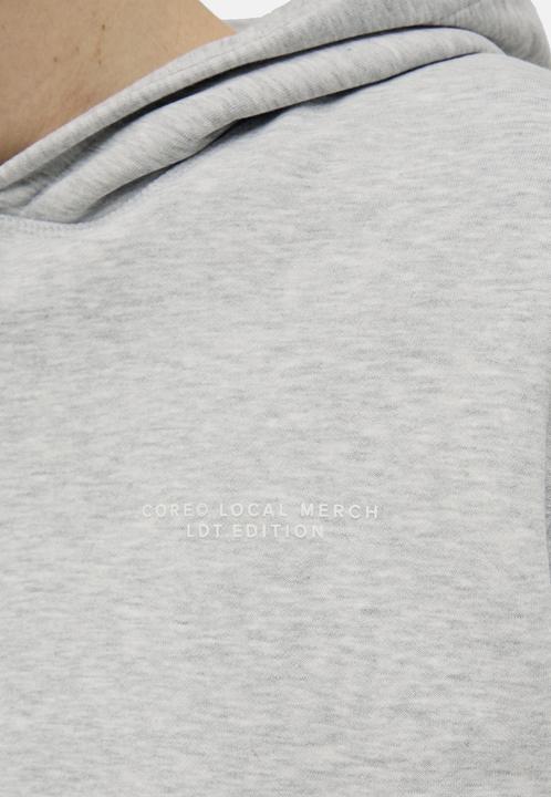 Immagine prodotto Jack & Jones Jcointerlude Tonal Back Print Sweat Hood (XXL)