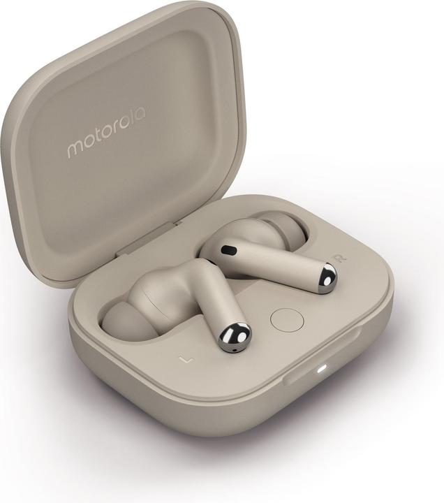 Actual product image Motorola Moto Buds+ (ANC, 7 h, Wireless)