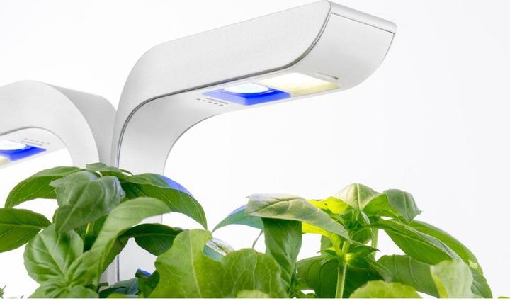 Image du produit Véritable Classic (18.50 cm)