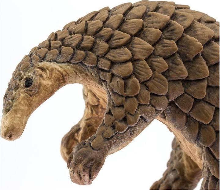 Produktbild Safari Pangolin