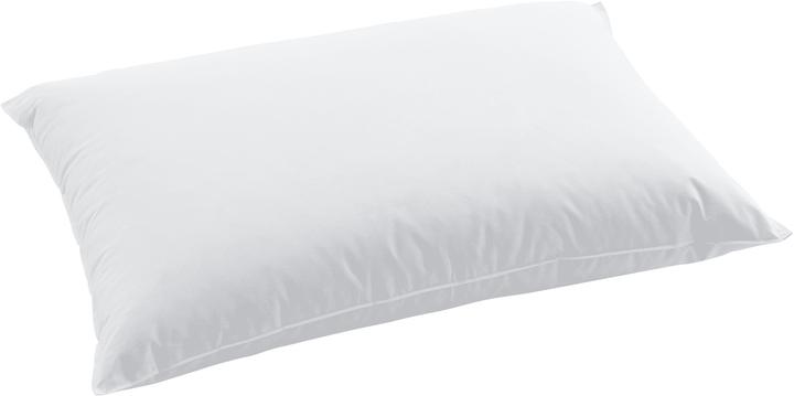 Swiss Dream by billerbeck CLC 90 Pillow