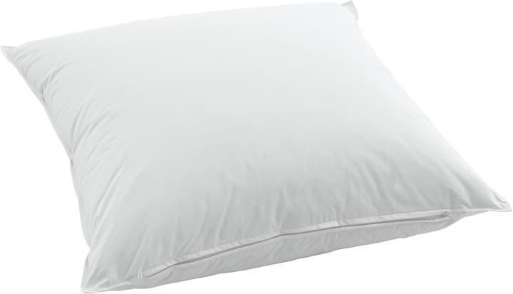 Produktbild Swiss Dream by billerbeck Nature Pillow Classic 90 (65 x 65 cm)