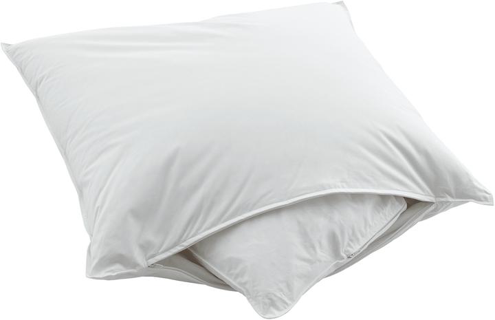 Produktbild Swiss Dream by billerbeck Nature Pillow Classic 90 (65 x 65 cm)