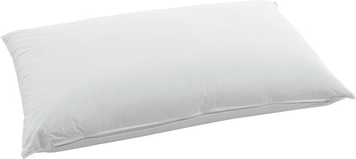 Actual product image Swiss Dream by billerbeck CLC 90 Nature Pillow (65 x 100 cm)