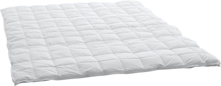 Produktbild Swiss Dream by billerbeck Caro Classic 90 (1030 g, 160 x 240 cm)