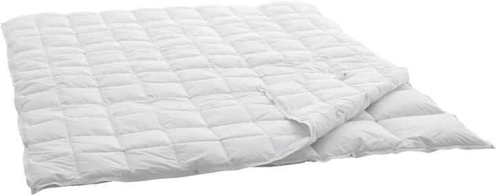 Produktbild Swiss Dream by billerbeck Caro Classic 90 (1030 g, 160 x 240 cm)