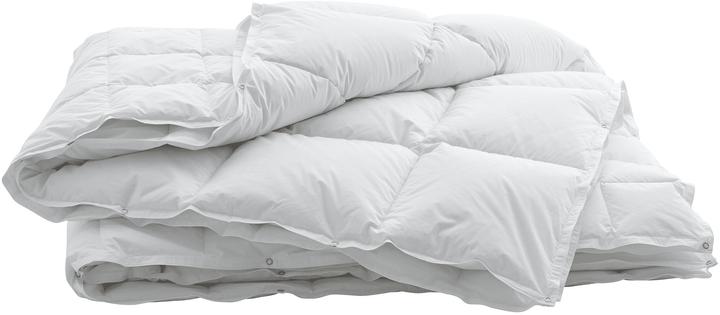 Produktbild Swiss Dream by billerbeck Caro Classic 90 (1030 g, 160 x 240 cm)