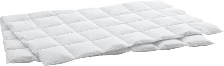Image du produit Swiss Dream by billerbeck Caro Light Classic 90 (450 g, 160 x 210 cm)