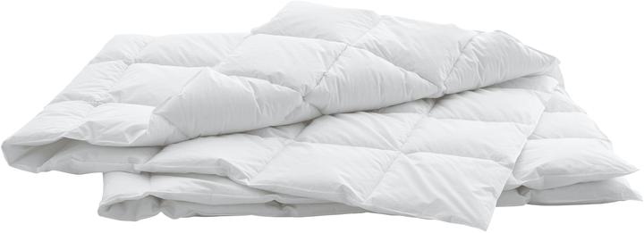 Image du produit Swiss Dream by billerbeck Caro Light Classic 90 (450 g, 160 x 210 cm)