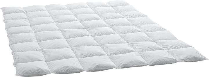 Produktbild Swiss Dream by billerbeck BSC 80 Cassette Medium (750 g, 160 x 210 cm)