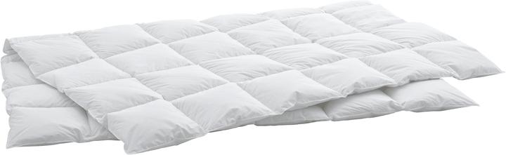 Produktbild Swiss Dream by billerbeck BSC 80 Cassette Medium (750 g, 160 x 210 cm)