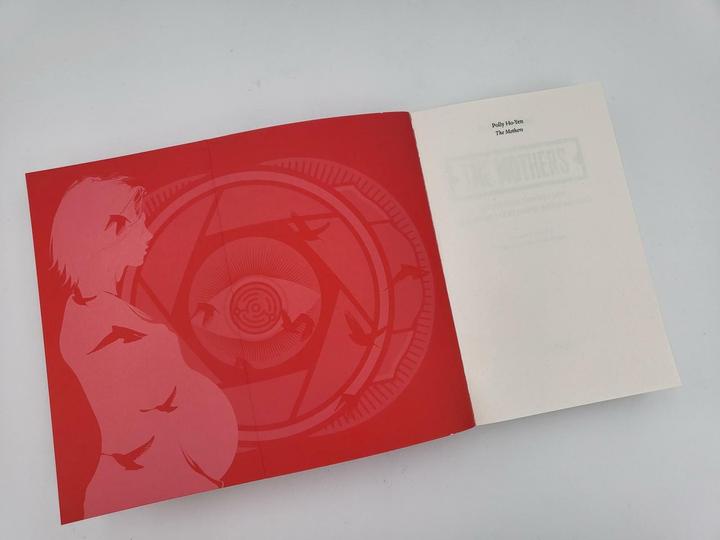 Image du produit The Mothers – Sie müssen perfekt sein oder der Staat nimmt ihnen ihr Kind (Allemand, Polly Ho-Yen, 2023)