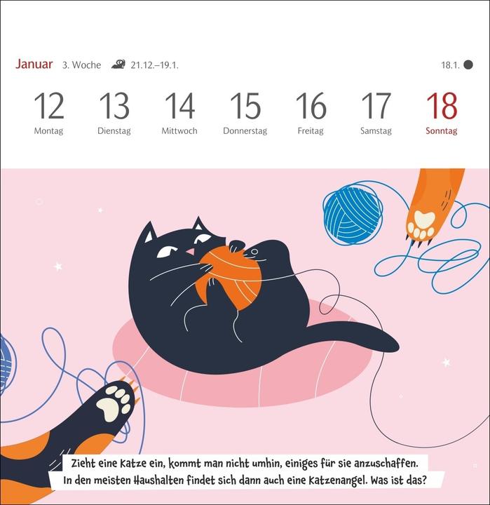 Produktbild Harenberg Unnützes-Wissen-Quiz Katzen Premium-Postkartenkalender - Kalender mit 53 Rätselkarten (Deutsch)