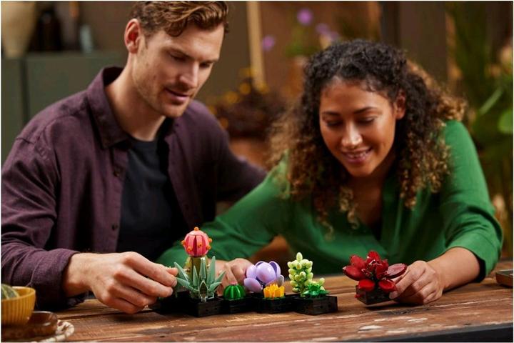 Actual product image LEGO Succulents (10309, LEGO Botanical, LEGO Rare Sets)