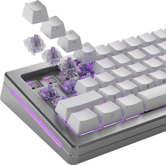 Actual product image Glorious Mechanical Switches (110pcs) - Mako Ultralight - (Tactile) 40g