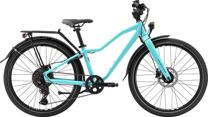 Immagine prodotto Mustang Velo Appaloosa 1.0 (24")