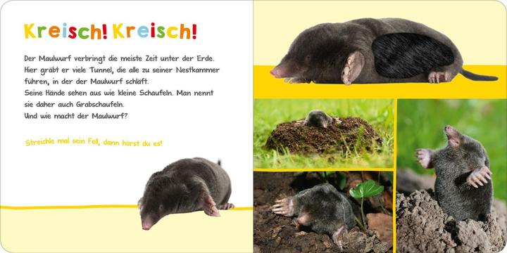 Immagine prodotto Hör mal rein, wer kann das sein? - Im Garten (Tedesco, 2019)