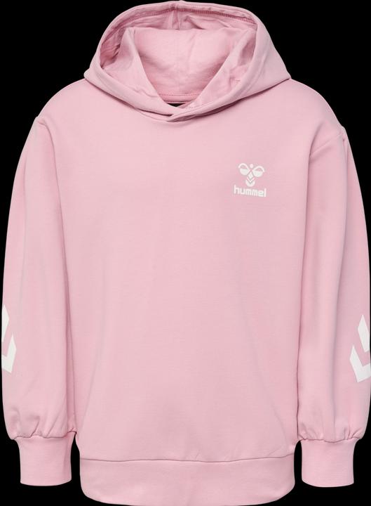 Immagine prodotto hummel hmlDUE HOODIE (104)