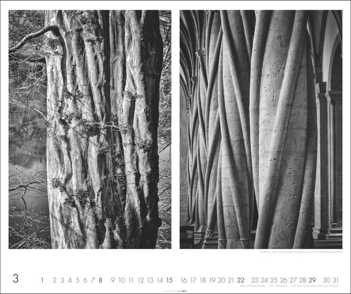Produktbild Natur : Architektur Kalender 2026 (55 x 46 cm, Deutsch)