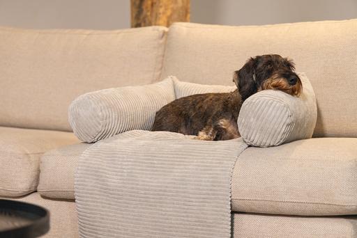 Produktbild Designed by Lotte Ribbed (Hund)