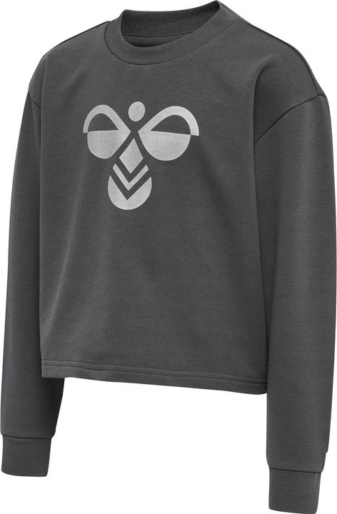 Image du produit hummel Sweat-Shirt Cinco (128)