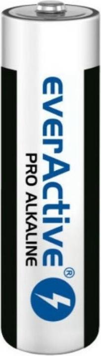 Actual product image Everactive Alkaline batteries Pro LR03 AAA - shrink pack - 10 - battery (10 pcs., AAA, 1250 mAh)