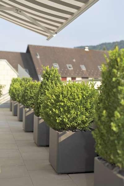 Produktbild Eternit Delta (60 cm)