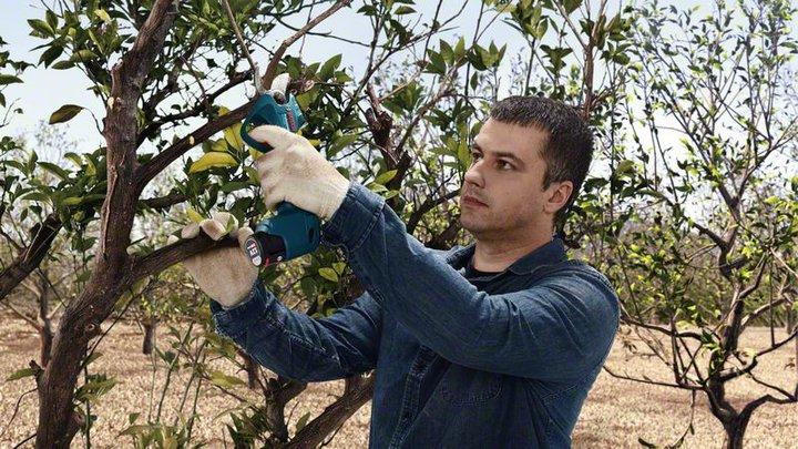 Immagine prodotto Bosch Professional Pro Pruner