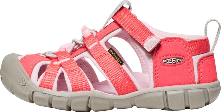 dubarry-pink-a-boo